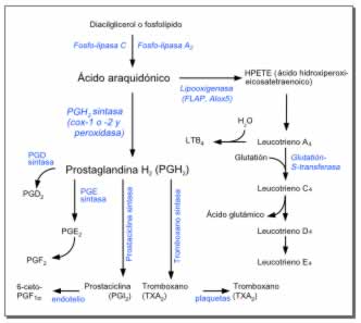 Biosíntesis de prostaglandinas